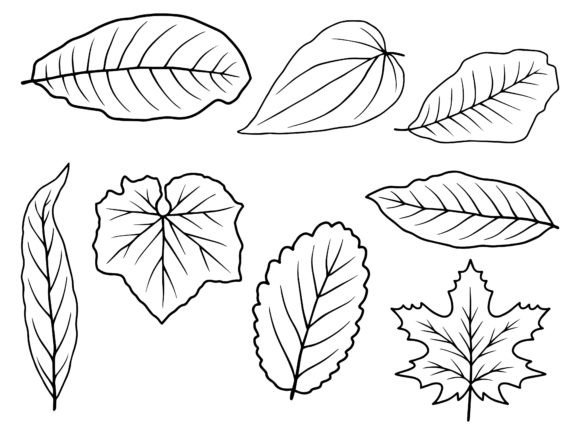 Leaf Line Art Illustration: A Fresh, Versatile Embroidery Design