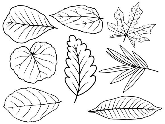 Leaves Line Art Illustration Review for Real Embroidery Projects
