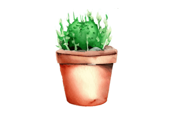 Watercolor Cactus Embroidery Design Review